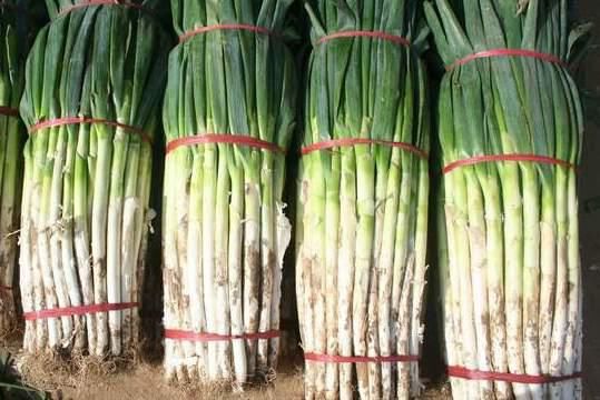 放到|大葱放久了容易干瘪空心,试试用这3种方法保存,放3个月也不坏