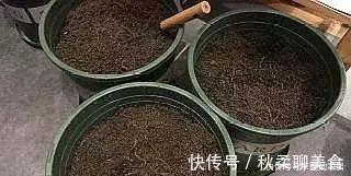 养花旧土别丢,掺入这“3样”,肥得流油不板结,养花太旺了