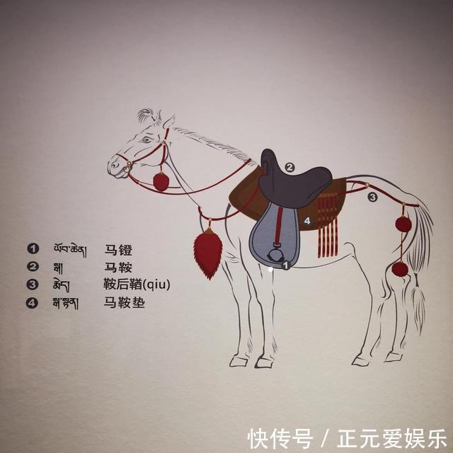 军队|罗马军队为何能征服世界学习了你也能打造出所向披靡的团队!