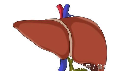 肝病|男性过了45岁要开始养肝，5个护肝窍门，坚持做，肝病或不敢来扰