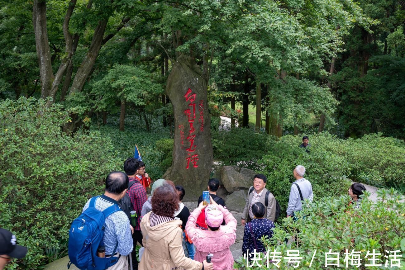 牯岭镇|大美庐山一个千古有名的风景胜地，壮丽的风光无不让人赞叹