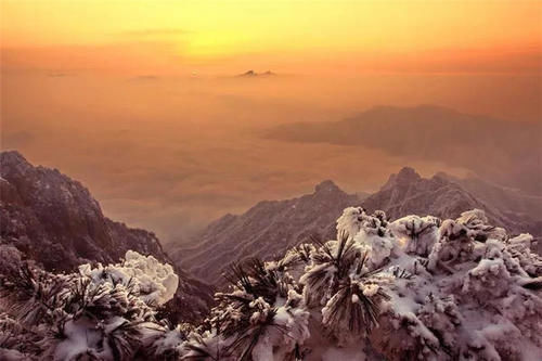 老君山|美炸了! 仿若天上宫阙, 雪后老君山雾凇云海, 琼楼玉宇美成仙境