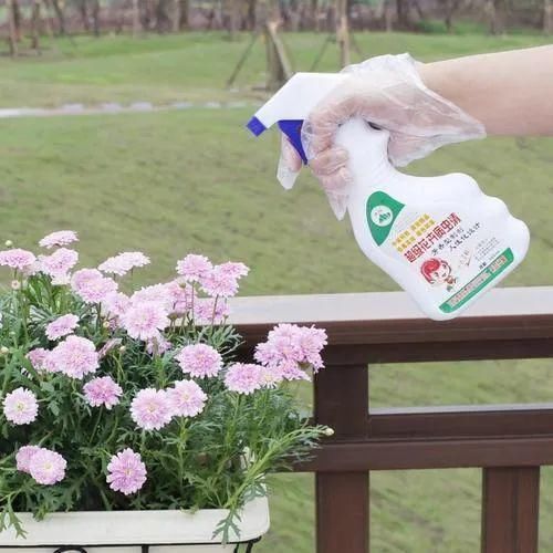 花盆|家庭养花的知识与技巧,你掌握了吗?