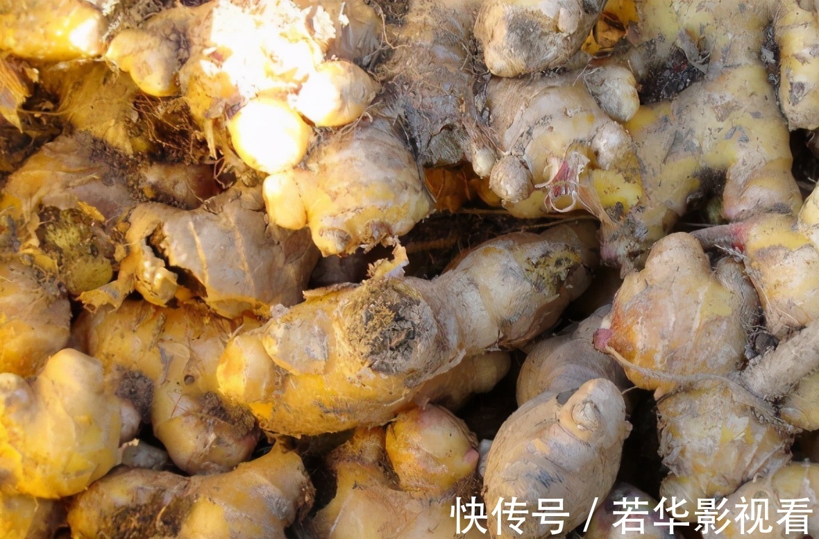 睡眠时间|4种烂肝的蔬菜已公布，医生提醒：肝不好的人，尽量别端上餐桌