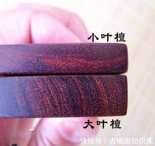 到底|“小叶紫檀”与“大叶紫檀”到底有什么区别?