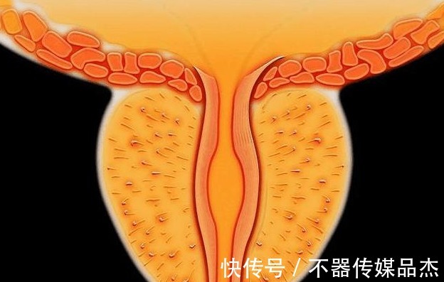男人|男人前列腺好不好,上个厕所全知道,若出现一个,要尽早收手