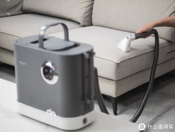 布艺|家有毛孩子，如何彻底清扫卫生？东菱布艺清洁机带来全新解决方案