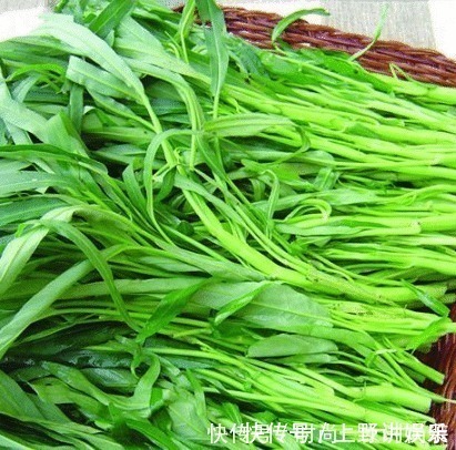 瘦肉|最近我家迷上了这道菜,比韭菜都要鲜,吃起来香甜脆嫩,堪称美味