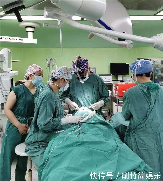 动物|为什么动物生娃都很轻松，人类却很痛苦？建议成年人都看一看