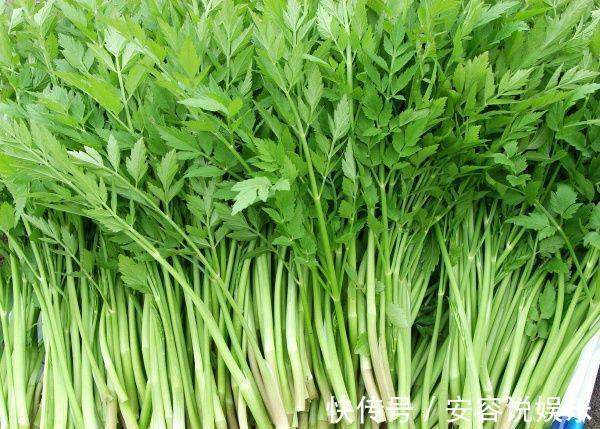 心烦|立秋后，心烦睡眠质量差，莫慌！常食此野菜，镇静安神，越睡越香