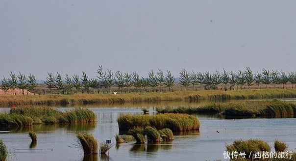 宁夏银川旅行，去过这三个地方就够了，你觉得呢？