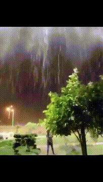 |搞笑GIF:在驾校这样练车 我就不信你练不好