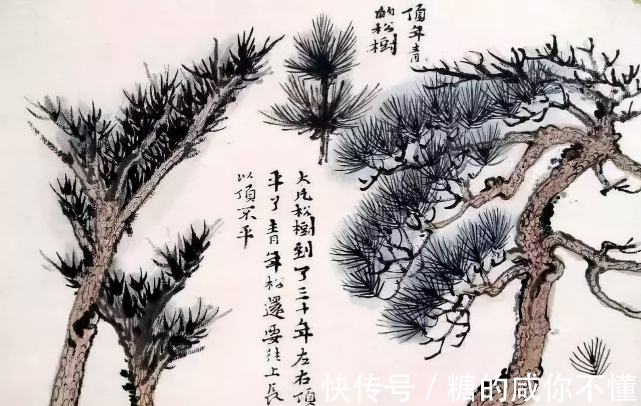 树木@「津门网」陆俨少的课徒稿:如何把一棵树画好