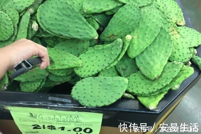 美食|我国没人敢吃的东西，在国外却成了顿顿离不开的美食