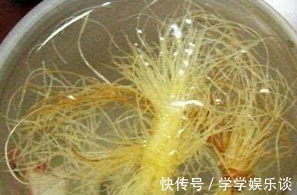 营养师玉米身上宝贝多,从玉米胚到玉米须都有用,你吃全了吗