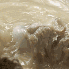 矿物质|糟糕中招了！原来我们认为的“好习惯”，有可能是健康路上的“拦路虎”