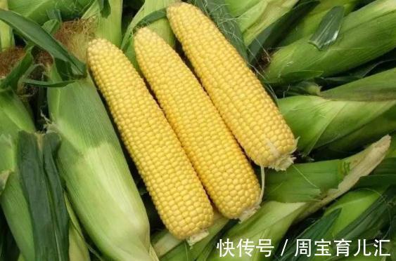 延年|长寿老人爱吃的5种食物，补血益气，延年益寿，爱吃一种你就赚了