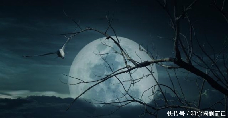 诗人$高僧临终前写下平生唯一一首诗,短短28字,写出世人最向往的晚年