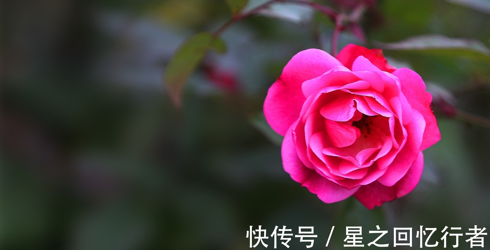 生肖鼠|10月13号后,把握机会,苦尽甘来,阳光总在风雨后,幸福向你招手