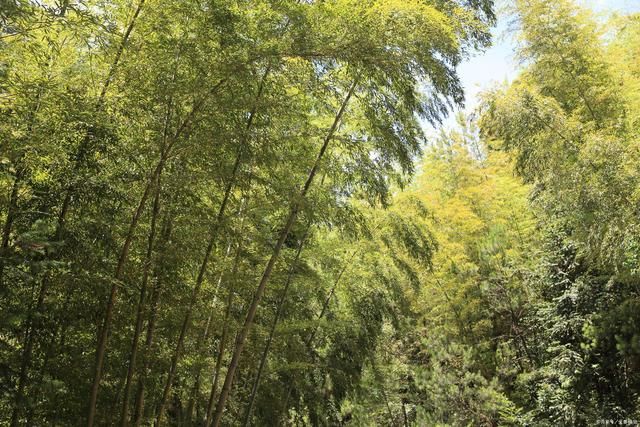  气度|易经智慧，坤卦:以品格立人，以气度处世