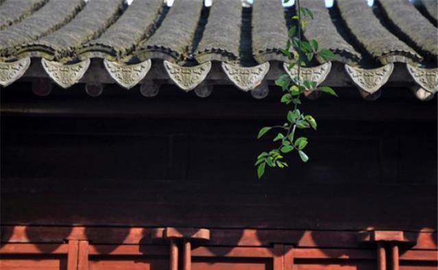 句句|《楚辞》10句千古名句,句句深刻,精致走心!