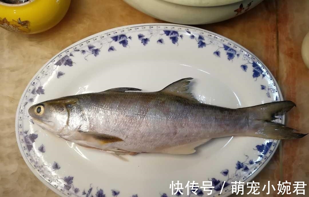 闽南最好的六种海鱼，午笋排第一，只要用豆豉，便能炣出美味
