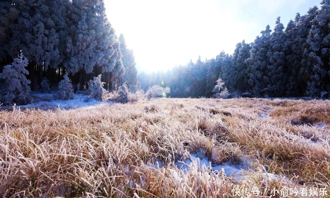 雪景|遂昌大美雪景图！让你一次看个够