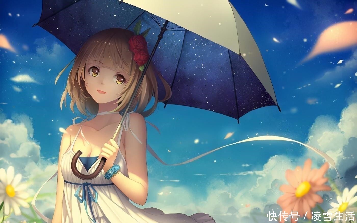 网文#网文史上质量最高的七本小说,每本都各有亮点,你看过几本