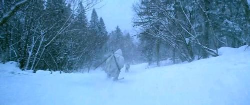 寒冬|大雪｜看似寂寥的寒冬，有雪陪伴，便异常浪漫