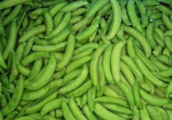 营养价值|这种豆角极似荷兰豆，价格不贵营养价值极高，养生保健人士首选它