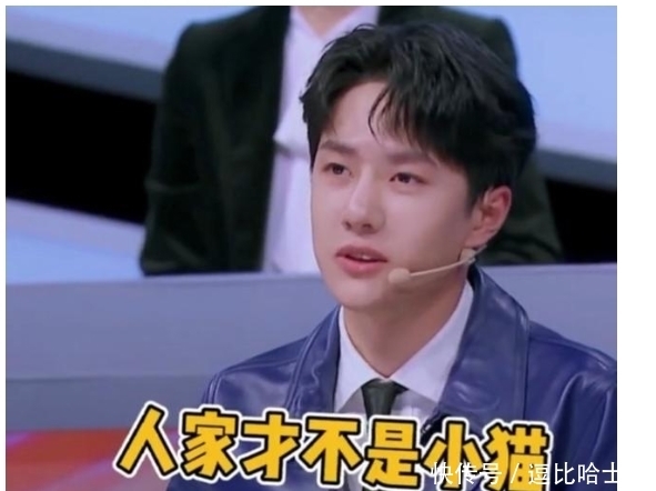 不懂就问,这满屏幕的豹,是王一博对其他塑的怨念实体化吗?