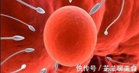 准妈妈|“受精卵着床时”的5个奇妙感觉,粗心的宝妈你有体会到了吗