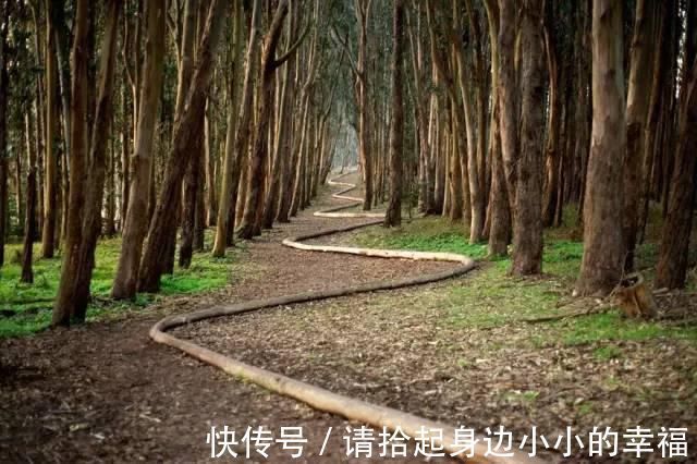 艺术家|他用最简单的树叶、石头、羽毛,建了一座美到极致的自然美术馆