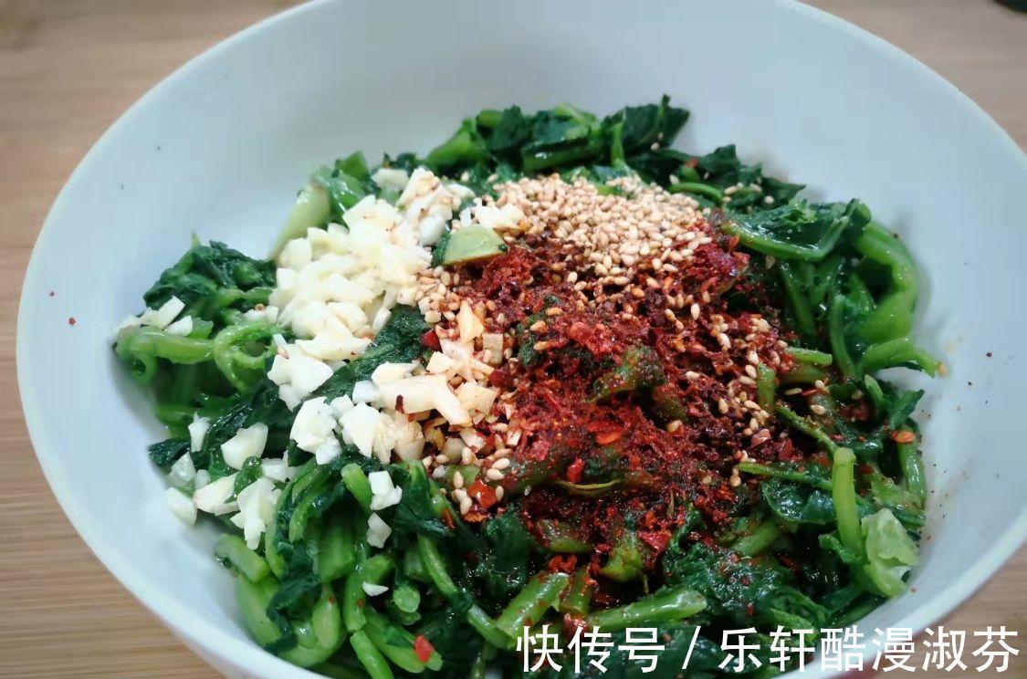 鲜嫩|蔬菜中的“人参”,叶子营养极高,9月正鲜嫩,鲜嫩翠绿特下饭!