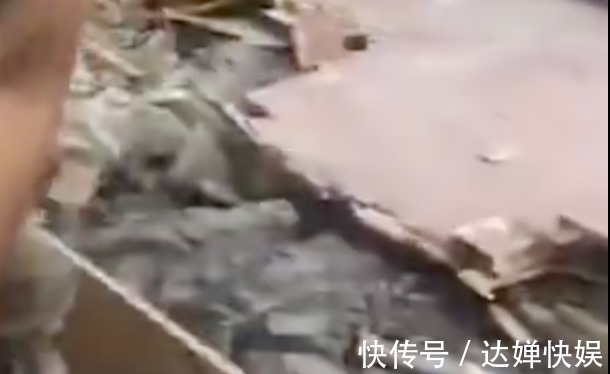 池女士|我扛过了买房的苦,却因为装修崩溃了……