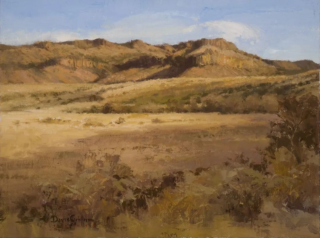 德克萨斯州#大卫·格里芬的风景油画高清图,放大看,更迷人