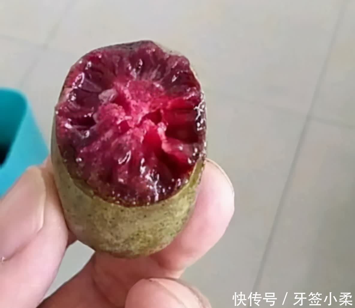 家里有院子，4种果树别嫌弃，好看好养活，比养花强