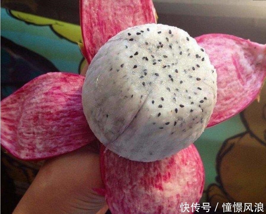 7张让强迫症吃货很满意的图,图三的酸奶很“完美”!