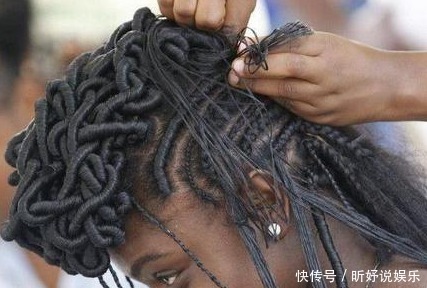 非洲人的辫子原来不是为了美观,而是为了不洗澡,防虱子