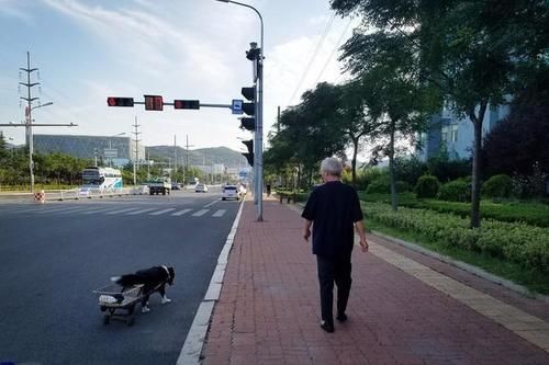 腰椎间盘|走路是免费的长寿方?但这4个误区可能多数人不知,不妨早了解