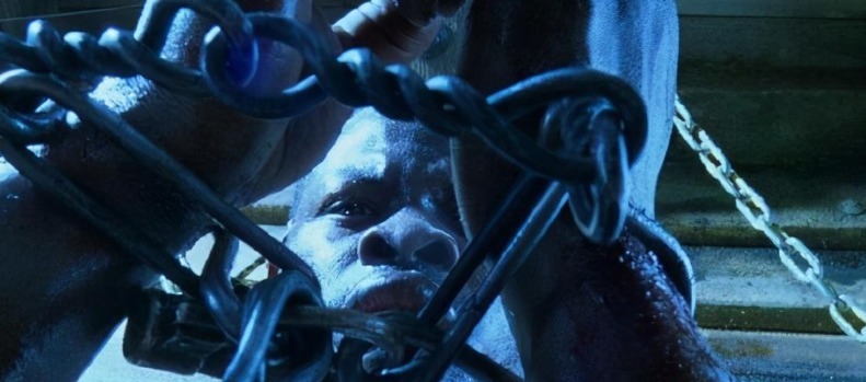 西方|高达一亿人口的印第安人,为何没有成为奴隶呢?