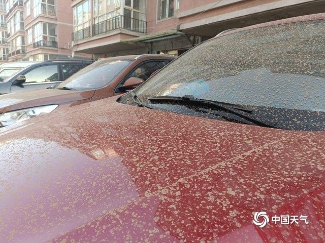 河北张家口崇礼下“泥雨” 汽车变泥车