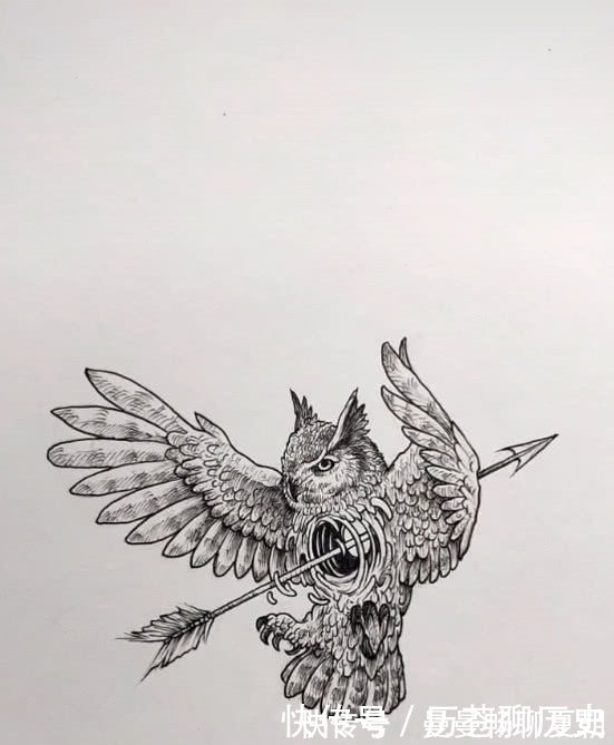 射雕英雄|美术生画射雕英雄,网友以为是郭靖,成品却是受伤的小鸟