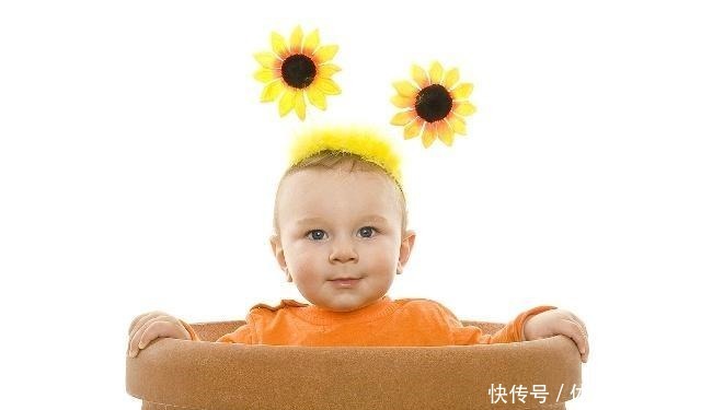 猪宝宝取名宜用部首和常用字推荐!