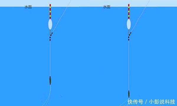 超高|黑坑“偷驴”滑口鱼,试着这样来应对,效率超高,中鱼率有保证