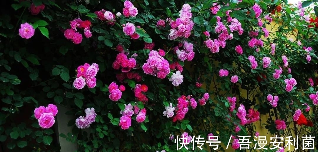 孟浩然$10大山水诗排行榜,王维《鸟鸣涧》仅列第二,榜首令人意想不到