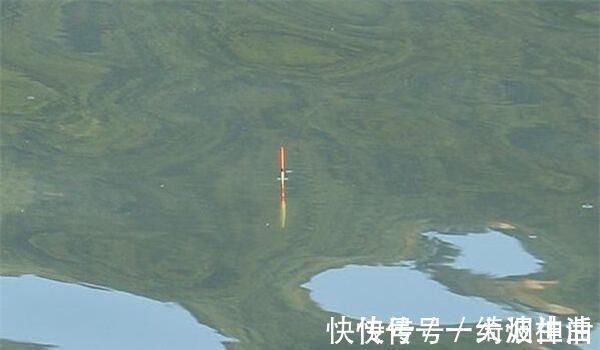 重量|调漂技巧:同样的调目和钓目,为何双饵状态效果不同,灵钝不同?