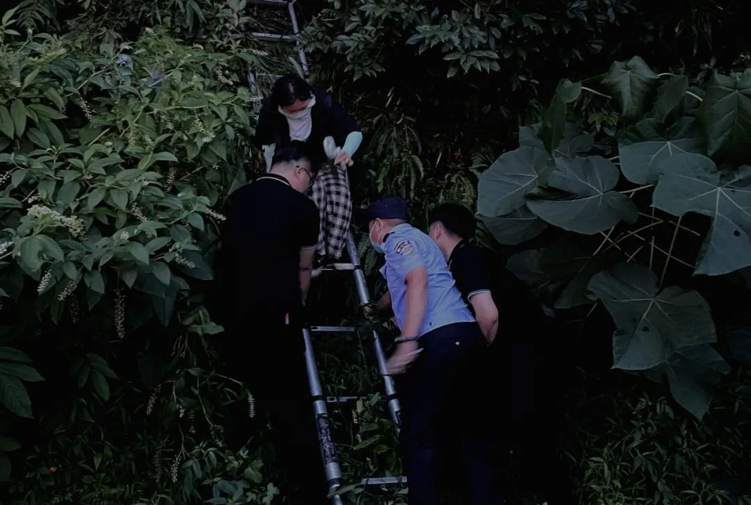 综艺节目|不见明星不下山？剧组拍摄综艺节目，00后“追星族”被困山中