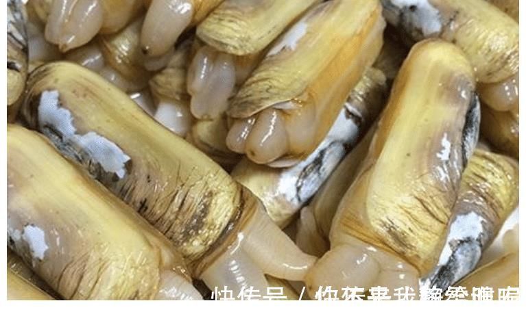 被丑耽误的4种海鲜,实则是“天下奇鲜”,全吃过才是真正海边人