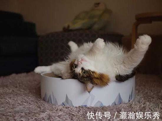 日式|如何把收纳功能点满？看看她家的日式小屋
